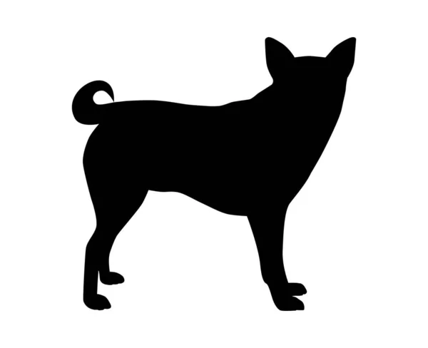 Ilustrasi Vektor Anjing Pada Latar Belakang Putih - Stok Vektor