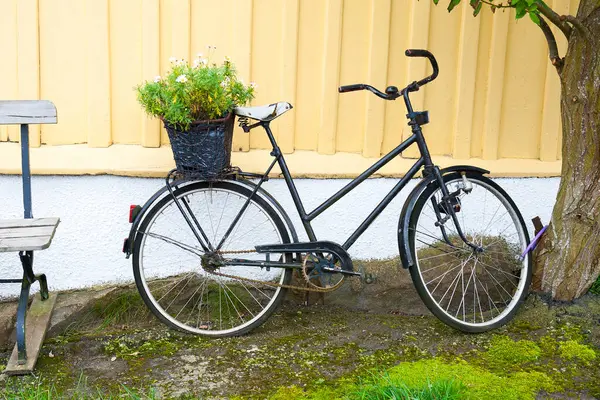 Fundo Decorativo Com Bicicleta Escandinava — Fotografia de Stock