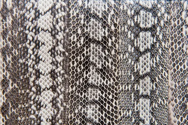 Vista Abstracta Del Fondo Textura Piel Serpiente — Foto de Stock