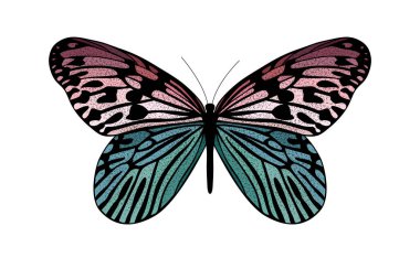 Renkli kelebek vektör çizimi