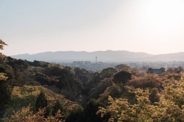 Japonya 'daki Kyoto şehrinin dağ ve şehir manzarası