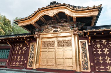 TOKYO, JAPONYA - 8 Nisan 2023 Ueno Toshogu Altın Tapınağı 'nda yürüyen turist