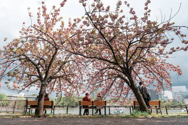 토키오 Japan April 2023 우에노 공원에 벚꽃을 사람들 — 스톡 사진