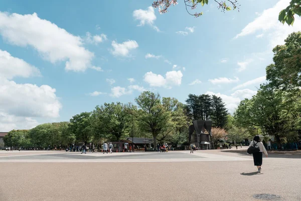 토키오 April 2023 봄철에 우에노 공원을 사람들 — 스톡 사진