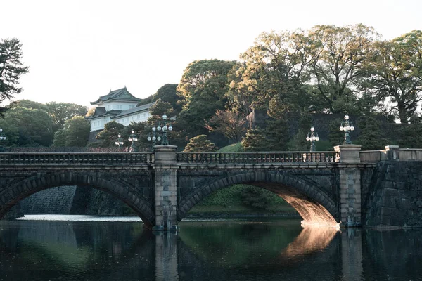 Tokyo Japan Kwiecień 2023 Sosna Parku Narodowym Kokyo Gaien — Zdjęcie stockowe