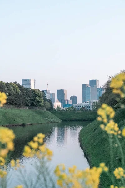 Tokyo Japan April 2023 Chidorigafuchi Park Kvällen Chiyoda Distrikt — Stockfoto