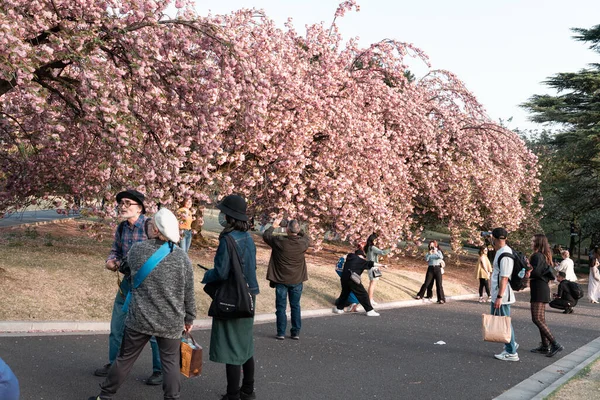 토키오 2023 신주쿠 정원을 산책하는 사람들 — 스톡 사진