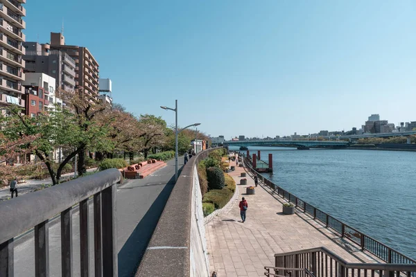 Tokyo Japan April 2023 사람들은 Sumida Reiver Walk 즐기고 — 스톡 사진