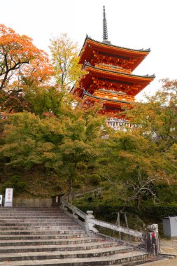 Kyoto, JAPAN - 18 Kasım 2024: Sonbahar sezonu boyunca Kiyomizu-dera Tapınağı