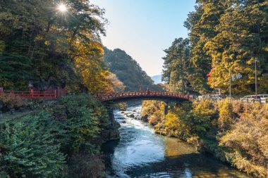 NIKO, JAPONYA - 9 Kasım 2024: Sonbahar sezonu boyunca Shinkyo Köprüsü