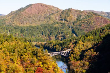 Fukushima, JAPAN - 10 Kasım 2024: Daichi Tagamigawa Köprüsü üzerinden tren geçişi