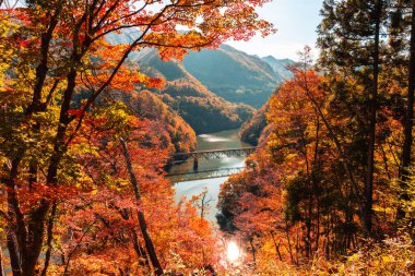 Fukushima, JAPAN - 10 Kasım 2024: Tadami demiryolu köprüsü Fukushima nehri üzerinde