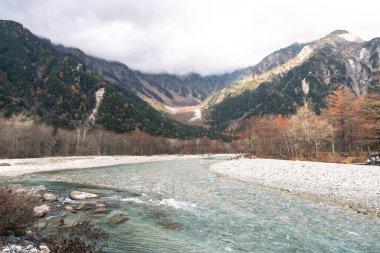 Sonbahar mevsiminde Kamikochi Ulusal Parkı 'ndaki Azusa nehir suyunu ve çam ağaçlarını temizle
