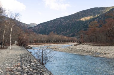 Sonbahar mevsiminde Kamikochi Ulusal Parkı 'ndaki Azusa nehir suyunu ve çam ağaçlarını temizle
