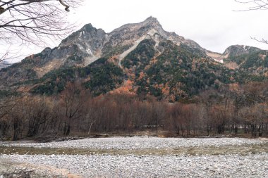 Sonbahar mevsiminde Kamikochi Ulusal Parkı 'ndaki dağ ve ağaçların manzarası
