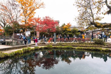 Yamanashi, JAPAN - 14 Kasım 2024: Oshino Hakkai 'de insanlar seyahat ediyor)