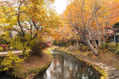 Japonya 'nın Oshino Hakkai köyündeki kanal deresi.