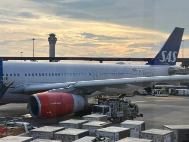 NEWARK NJ - 1 Temmuz 2022 'de New Jersey' deki Liberty Uluslararası Havalimanı 'nda görülen SAS Havayolları uçağı.