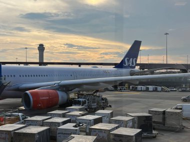 NEWARK NJ - 1 Temmuz 2022 'de New Jersey' deki Liberty Uluslararası Havalimanı 'nda görülen SAS Havayolları uçağı.