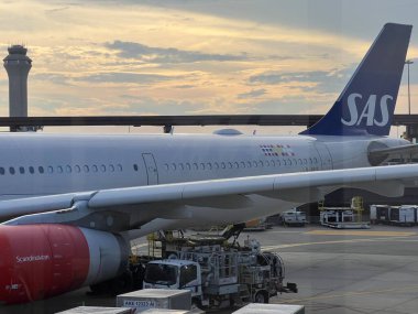 NEWARK NJ - 1 Temmuz 2022 'de New Jersey' deki Liberty Uluslararası Havalimanı 'nda görülen SAS Havayolları uçağı.