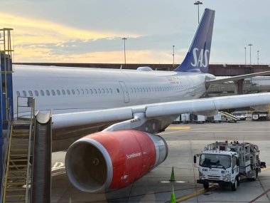 NEWARK NJ - 1 Temmuz 2022 'de New Jersey' deki Liberty Uluslararası Havalimanı 'nda görülen SAS Havayolları uçağı.