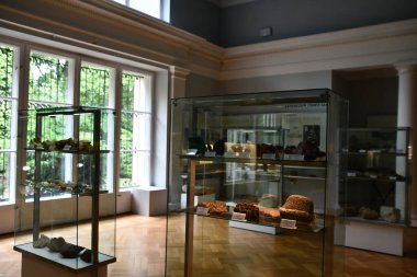 WARSAW, POLAND - JUL 13: Museum of the Earth at Polish Academy of Sciences in Warsaw, Poland, as seen on July 13, 2022.