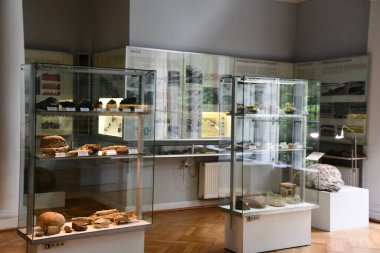 WARSAW, POLAND - JUL 13: Museum of the Earth at Polish Academy of Sciences in Warsaw, Poland, as seen on July 13, 2022.