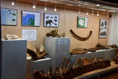 WARSAW, POLAND - JUL 13: Museum of the Earth at Polish Academy of Sciences in Warsaw, Poland, as seen on July 13, 2022.