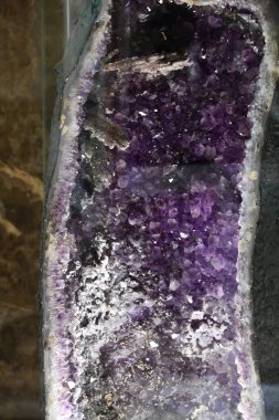 WARSAW, POLAND - JUL 13: Geological Museum of the State Geological Institute in Warsaw, Poland, as seen on July 13, 2022.