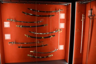 10 Temmuz 2022 'de Polonya' nın Varşova kentindeki Kraliyet Kalesi 'nde görüldü..