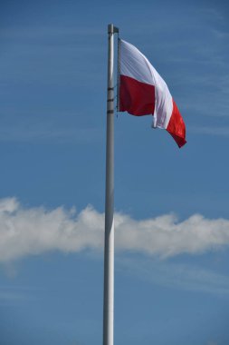 Varşova 'da Polonya Bayrağı