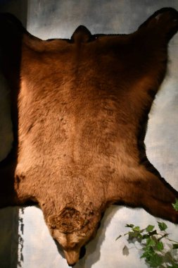 WARSAW, POLAND - JUL 15: Museum of Hunting and Horsemanship at Royal Lazienki Museum in Warsaw, Poland, as seen on July 15, 2022.