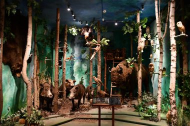 WARSAW, POLAND - JUL 15: Museum of Hunting and Horsemanship at Royal Lazienki Museum in Warsaw, Poland, as seen on July 15, 2022.