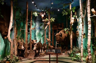 WARSAW, POLAND - JUL 15: Museum of Hunting and Horsemanship at Royal Lazienki Museum in Warsaw, Poland, as seen on July 15, 2022.