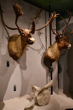 WARSAW, POLAND - JUL 15: Museum of Hunting and Horsemanship at Royal Lazienki Museum in Warsaw, Poland, as seen on July 15, 2022.