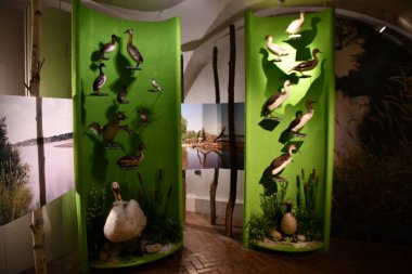 WARSAW, POLAND - JUL 15: Museum of Hunting and Horsemanship at Royal Lazienki Museum in Warsaw, Poland, as seen on July 15, 2022.