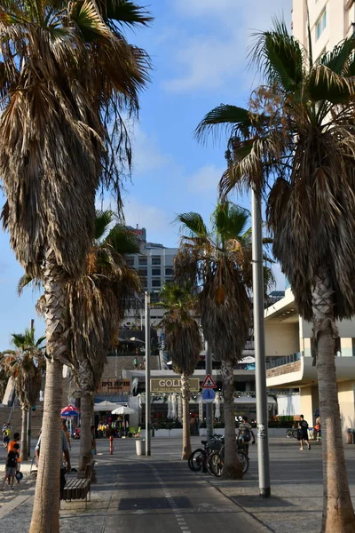 Tel Aviv Israel Jul Stranden Tel Aviv Israel Sedd Den — Stockfoto