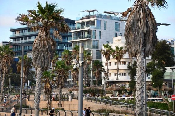 Tel Aviv Israel Jul Strandpromenade Tel Aviv Israel Gesehen Juli — Stockfoto