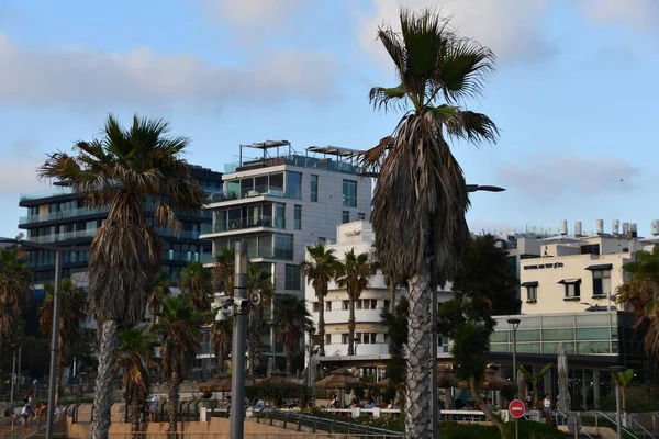 Tel Aviv Israel Lipca Wybrzeże Tel Awiwie Izrael Jak Widać — Zdjęcie stockowe