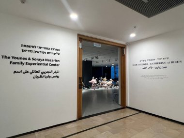 TEL AVIV, ISRAEL - 21 Temmuz 2021: İsrail 'deki Tel Aviv Sanat Müzesi' nde Shira Zelwer 'ın Birds sergisi.