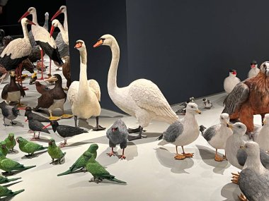 TEL AVIV, ISRAEL - 21 Temmuz 2021: İsrail 'deki Tel Aviv Sanat Müzesi' nde Shira Zelwer 'ın Birds sergisi.