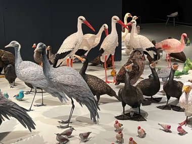 TEL AVIV, ISRAEL - 21 Temmuz 2021: İsrail 'deki Tel Aviv Sanat Müzesi' nde Shira Zelwer 'ın Birds sergisi.