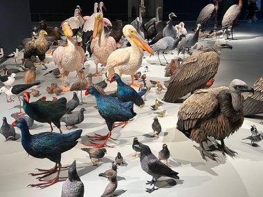 TEL AVIV, ISRAEL - 21 Temmuz 2021: İsrail 'deki Tel Aviv Sanat Müzesi' nde Shira Zelwer 'ın Birds sergisi.