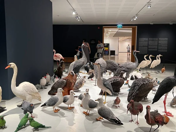 TEL AVIV, ISRAEL - 21 Temmuz 2021: İsrail 'deki Tel Aviv Sanat Müzesi' nde Shira Zelwer 'ın Birds sergisi.