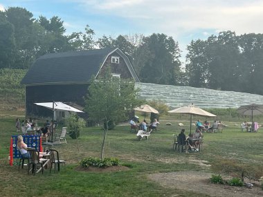ORANGE CT - SEP 4: Vineyard at Stappa Vineyard in Orange, Connecticut, as seen on Sep 4, 2022.
