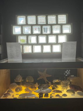 STRATFORD CT - SEP 4: Boothe Memorial Park & Museum in Stratford, Connecticut, as seen on Sep 4, 2022.