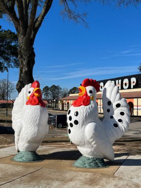 HAMER, SC - 24 DEC: 24 Aralık 2022 'de Hamer, Güney Karolina' da görülen sınır yolunun güneyi.