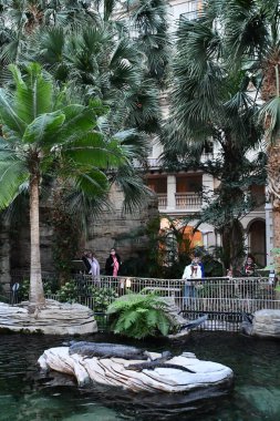 KISSIMMEE, FL - DEC 25: Gaylord Palms Resort & Convention Center in Kissimmee, Florida, as seen on Dec 25, 2022.