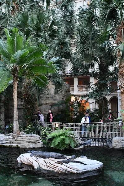 KISSIMMEE, FL - DEC 25: Gaylord Palms Resort & Convention Center in Kissimmee, Florida, as seen on Dec 25, 2022.