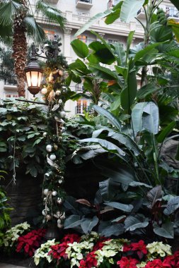 KISSIMMEE, FL - DEC 25: Christmas decor at Gaylord Palms Resort & Convention Center in Kissimmee, Florida, as seen on Dec 25, 2022.